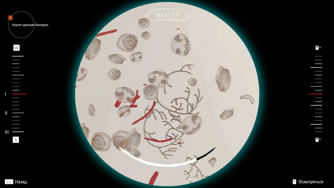 Источник: скриншот CQ.ru / Мини-игра при использовании микроскопа