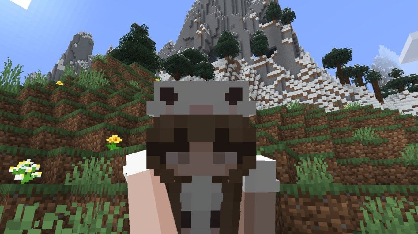 Топ50 лучших сидов для версий Minecraft 121 для Bedrock и Java