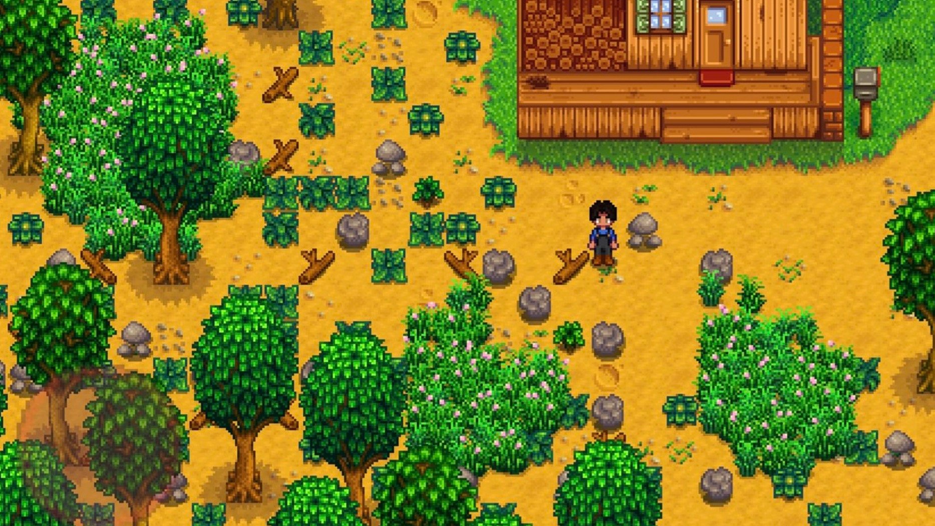 Вслед за Terraria в Stardew Valley готовится крупный патч в честь 10летия игры