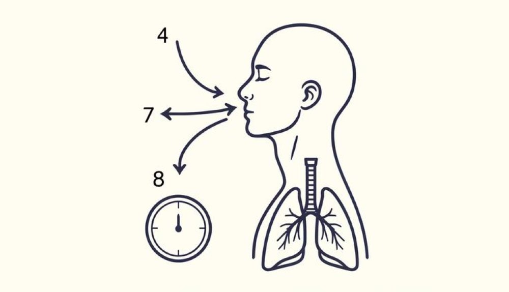 Источник: скриншот CQ.ru / Метод «4–7–8»