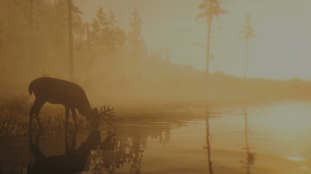 Артур Морган извинился за парня который удалил сохранения своей невесты в Red Dead Redemption 2