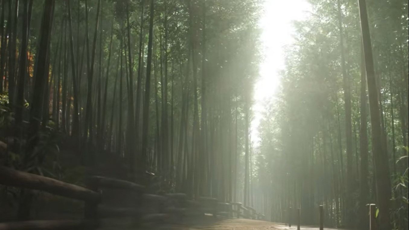 Вышел новый трейлер Forza Horizon 6  детально показали биомы Японии