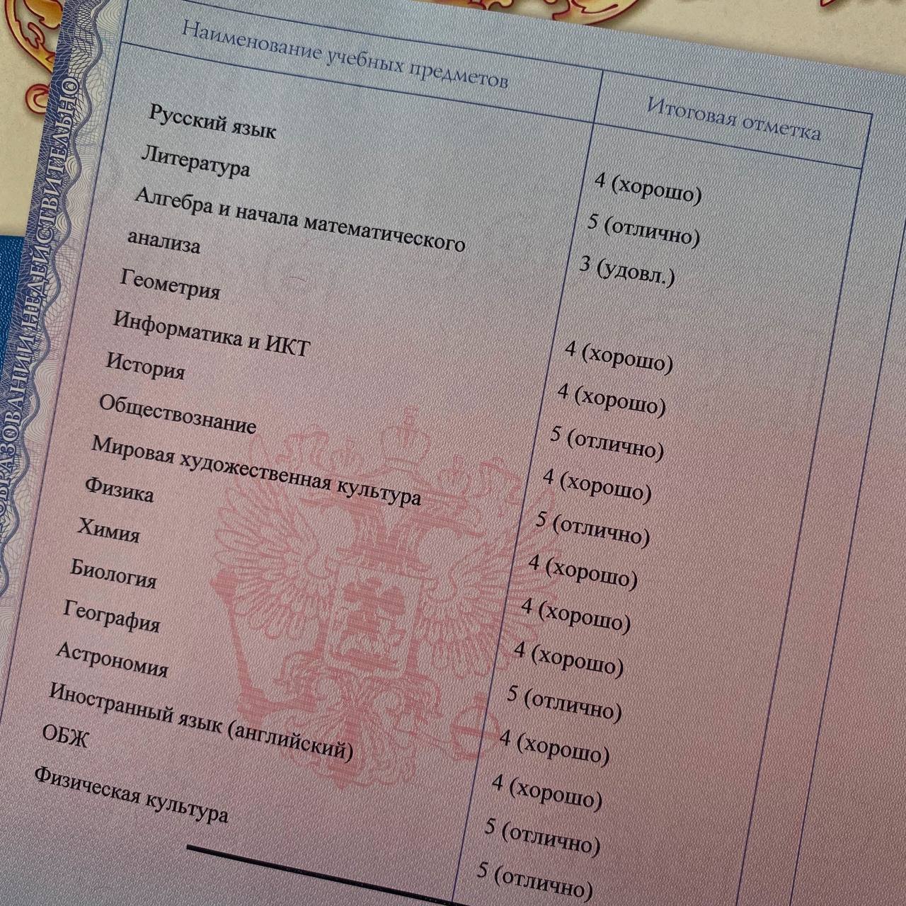 Источник: CQ.ru / Морфилина / Аттестат Арины