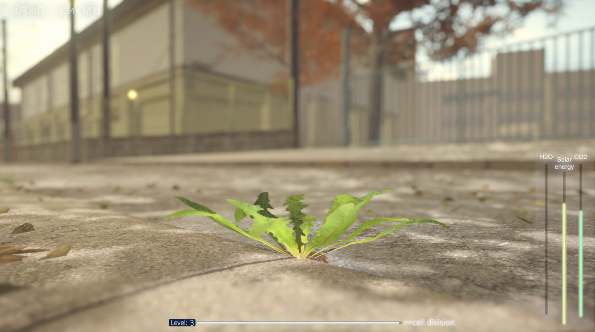 Источник: скриншот CQ.ru / Одуванчики выстоят