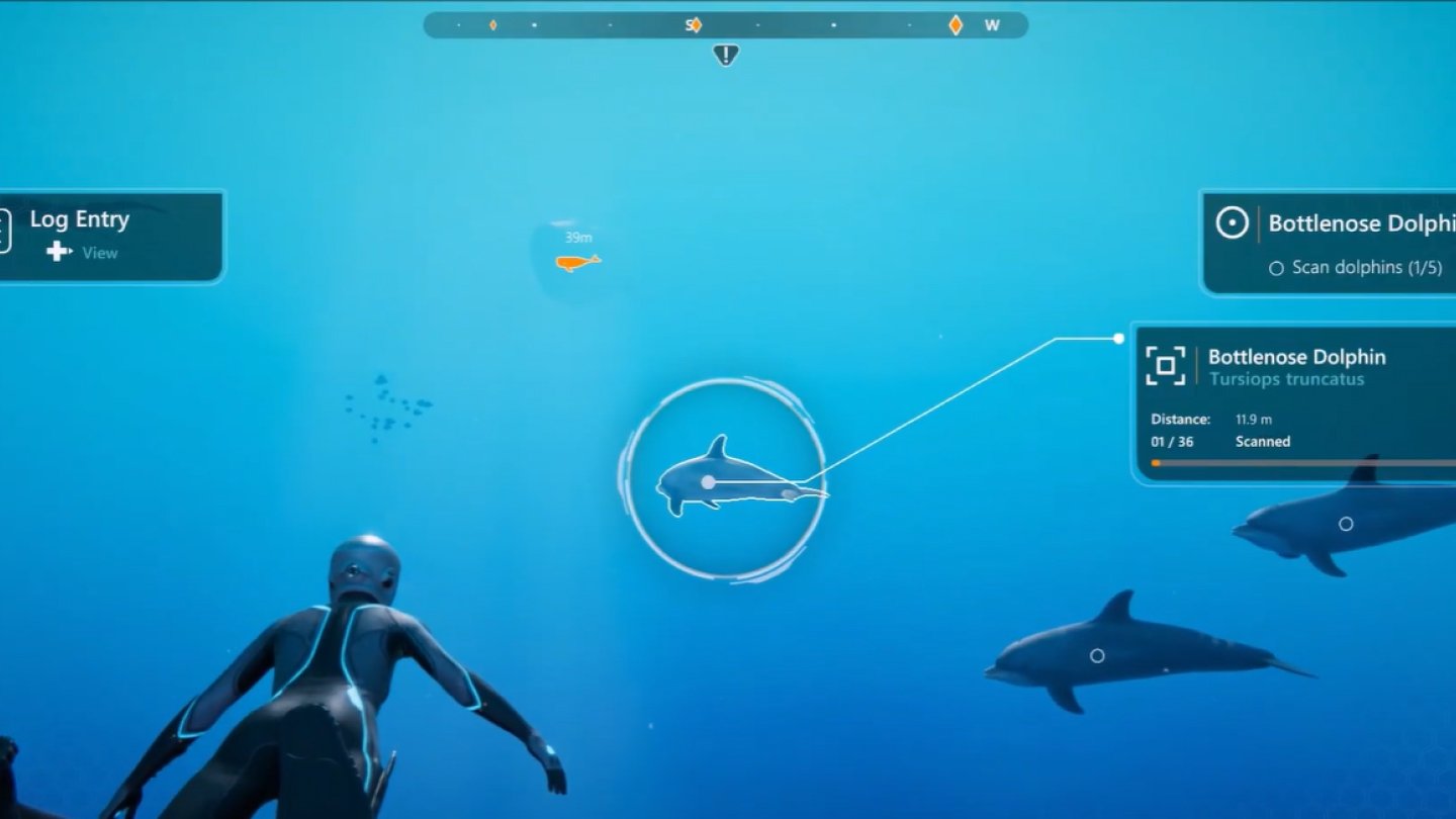 Источник: CQ.ru /  Автор вспомнил детский гиперфикс на дельфинах