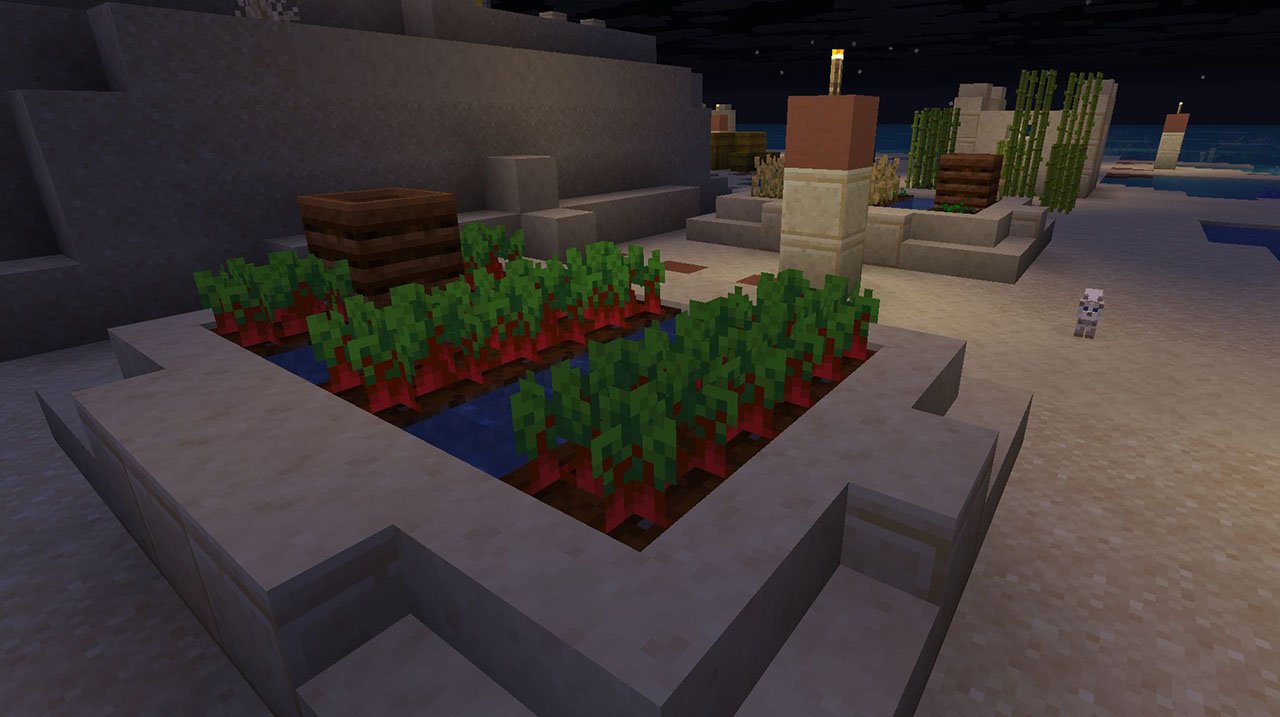 Источник: CQ.ru / Грядка со свеклой в деревне — можно приватизировать