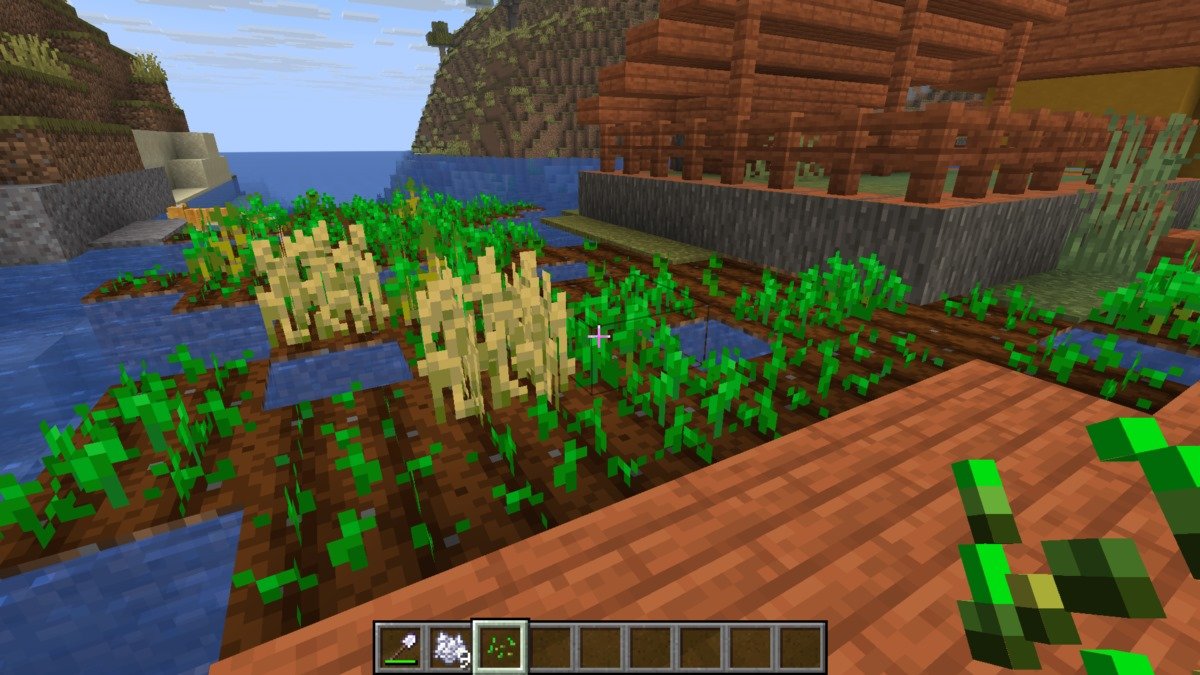 Источник: CQ.ru / Огород с пшеницей в деревне жителей