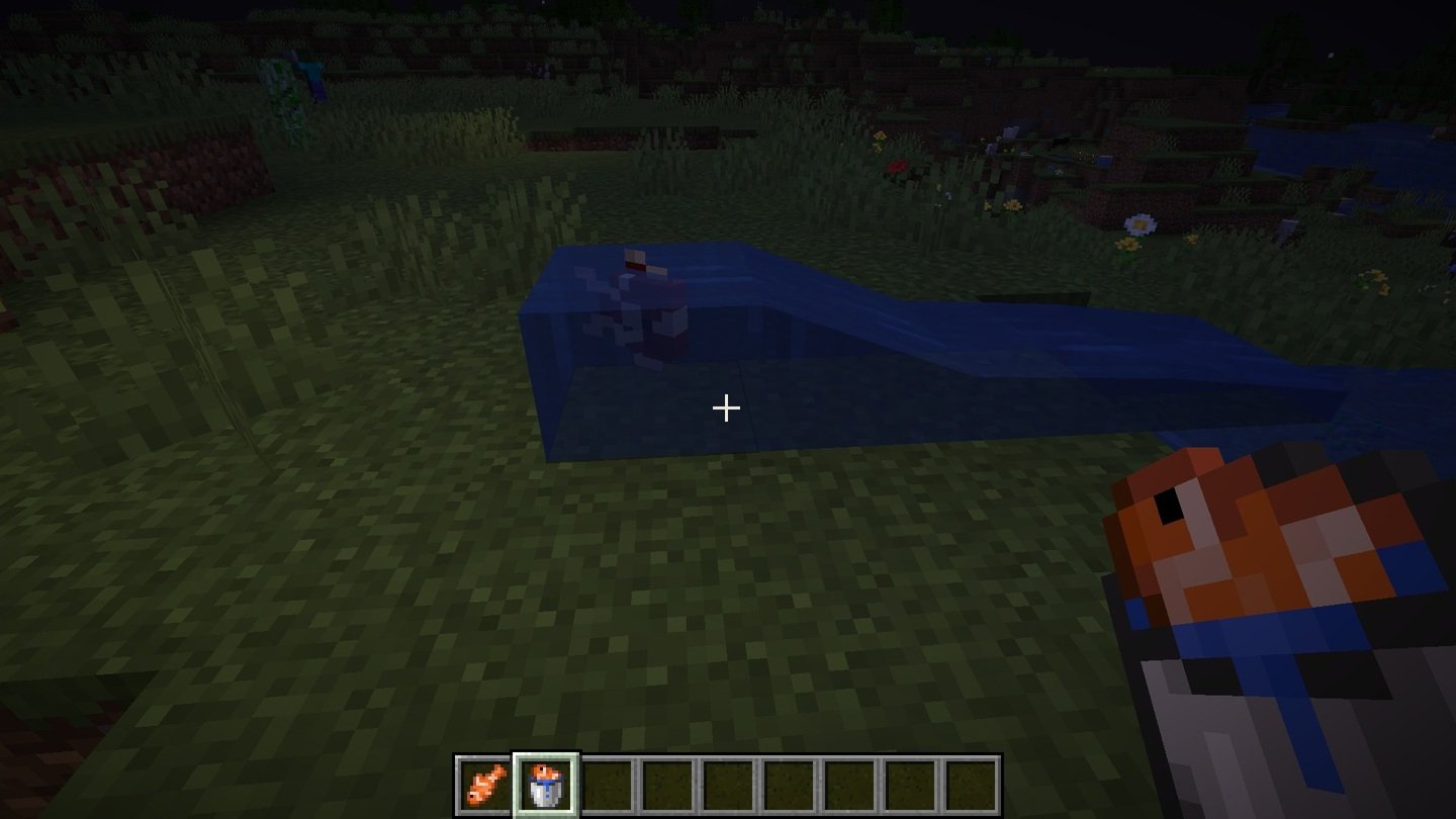 Источник: CQ.ru / Ведро с тропической рыбой