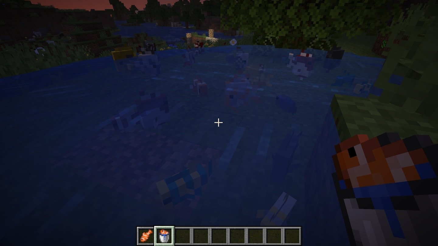 Источник: CQ.ru / Тропические рыбы