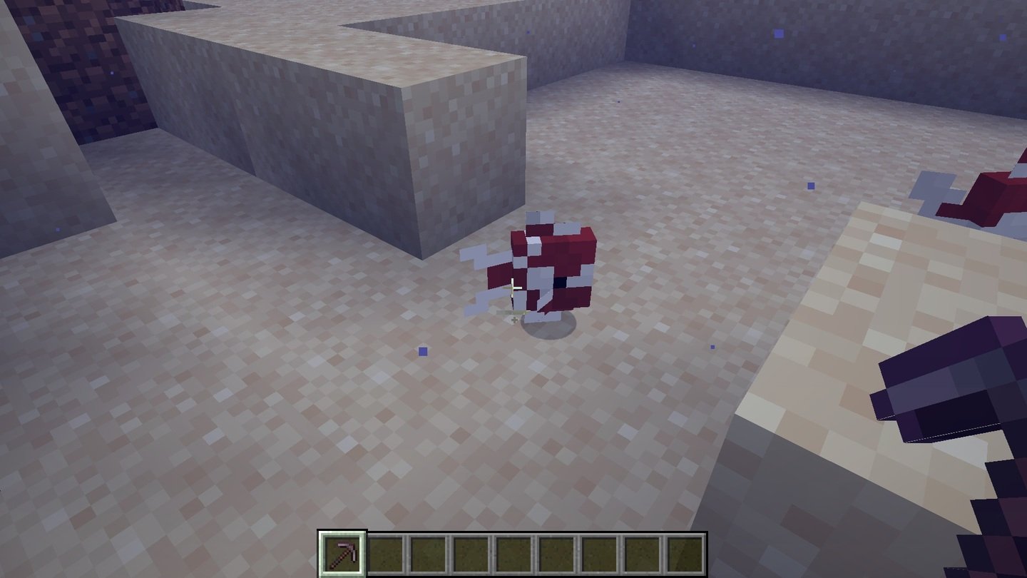 Источник: CQ.ru / Red Cichlid