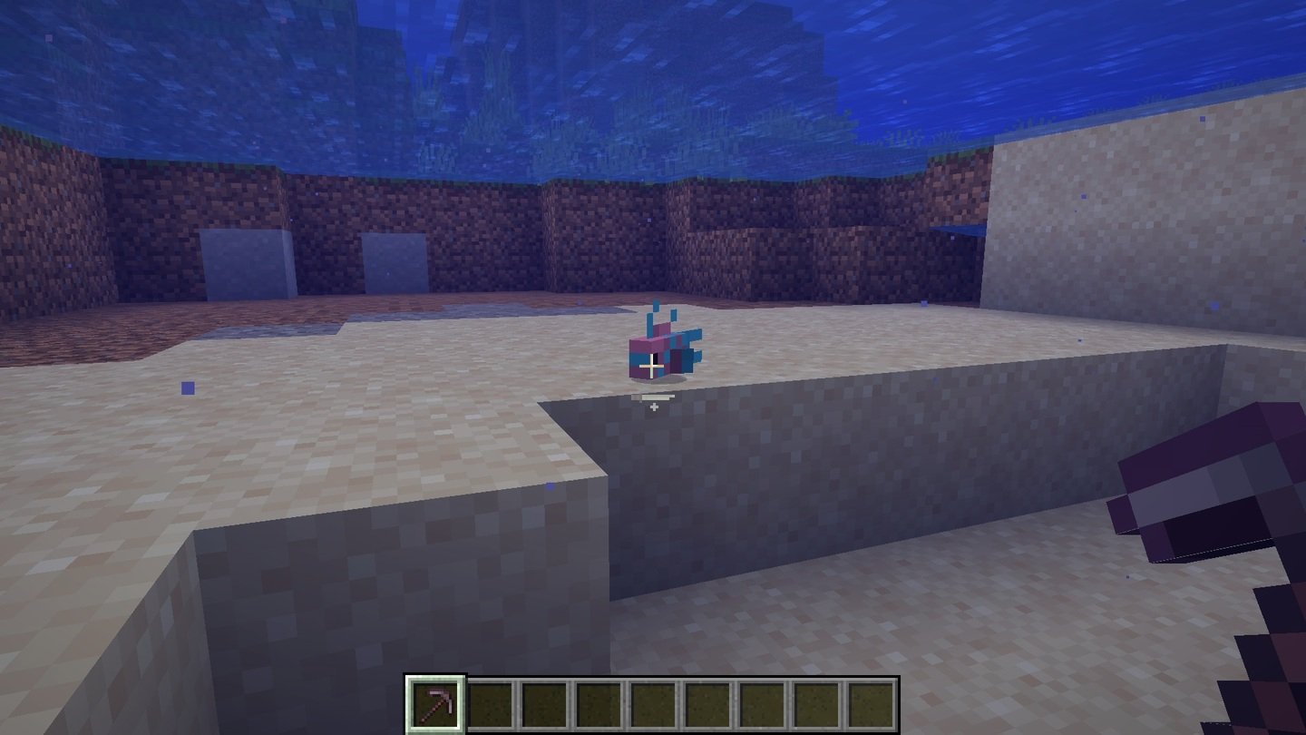 Источник: CQ.ru / Cotton Candy Betta