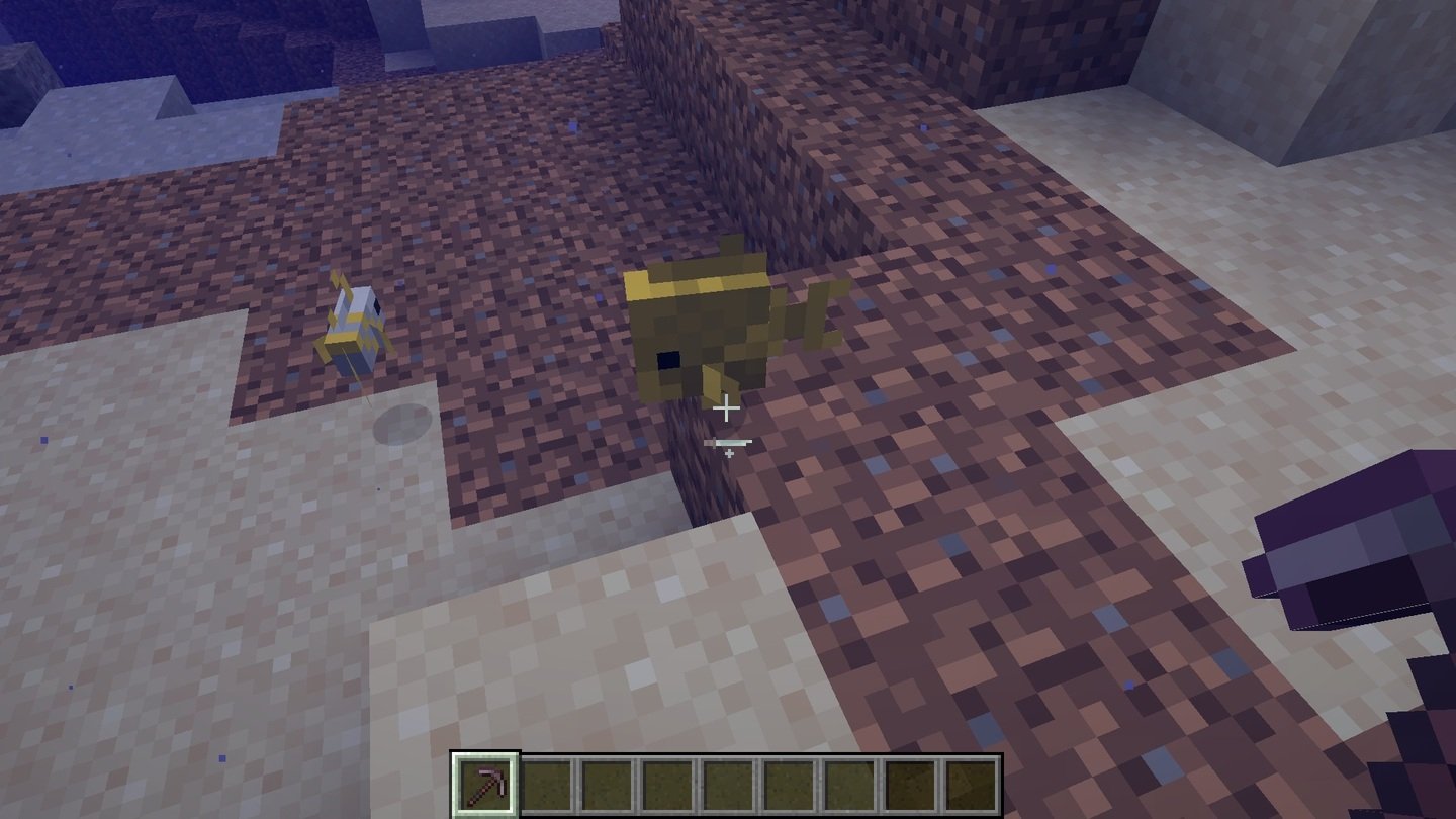 Источник: CQ.ru / Yellow Tang