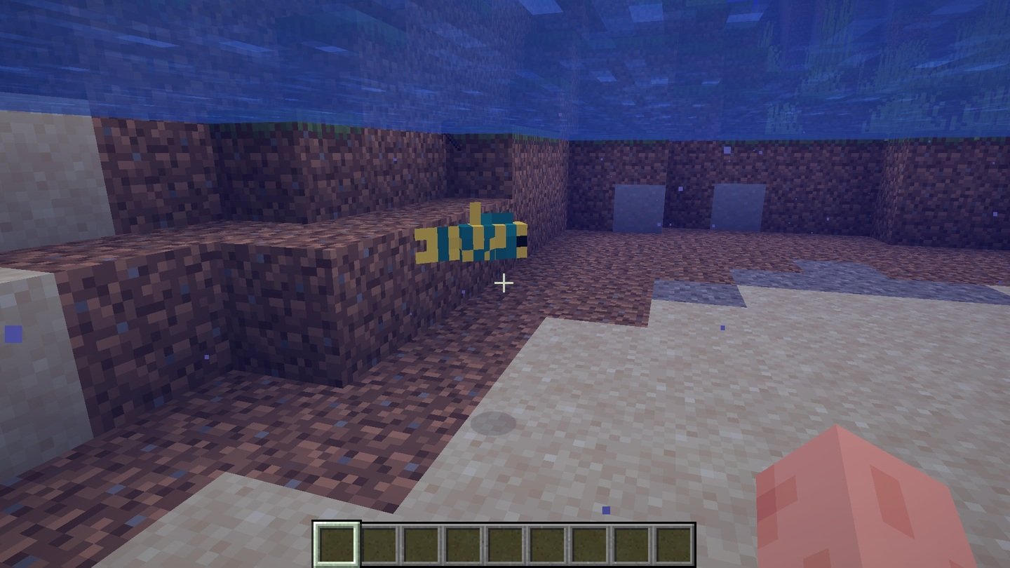 Источник: CQ.ru / Yellowtail Parrotfish