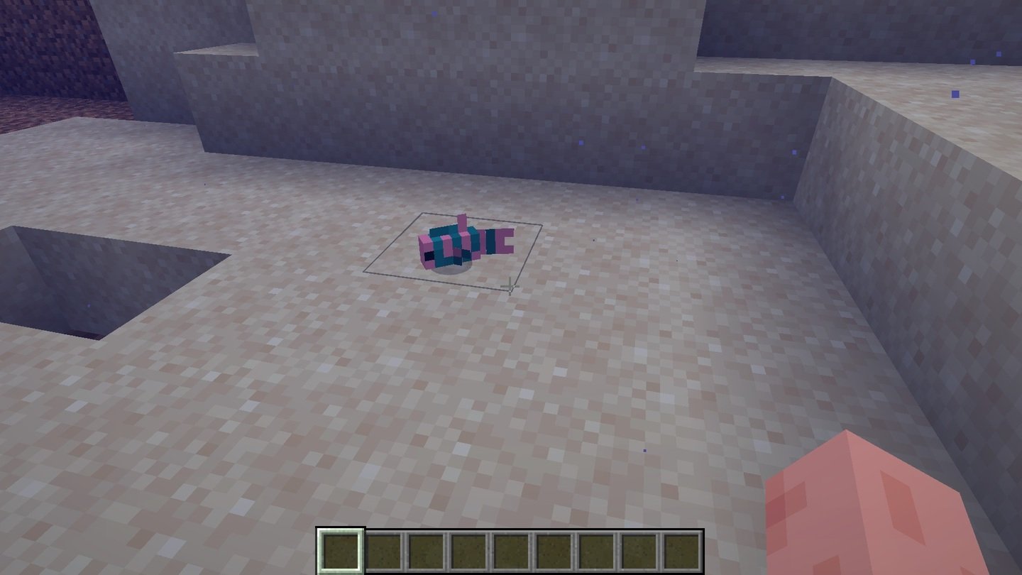 Источник: CQ.ru / Parrotfish