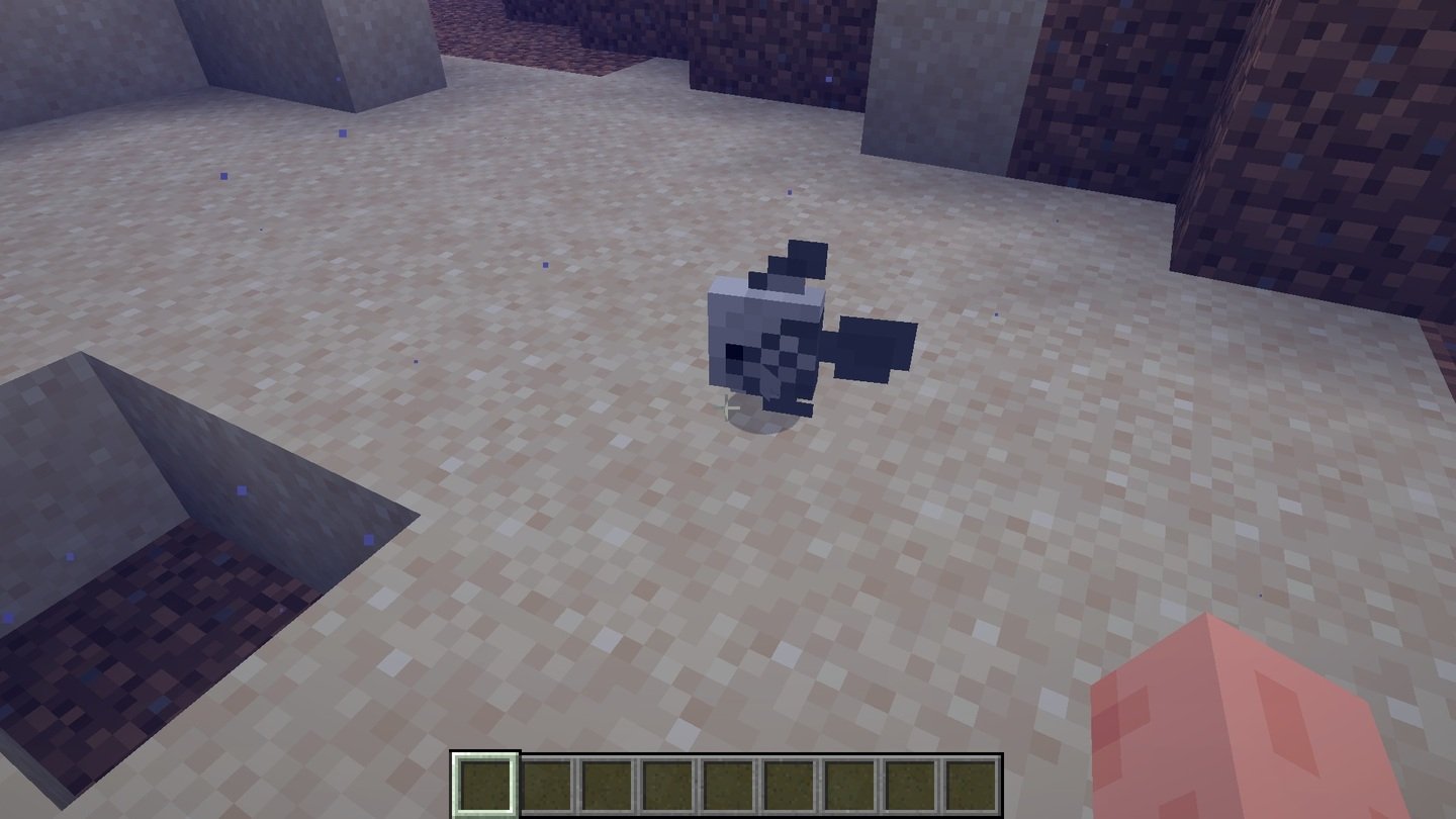 Источник: CQ.ru / Moorish Idol