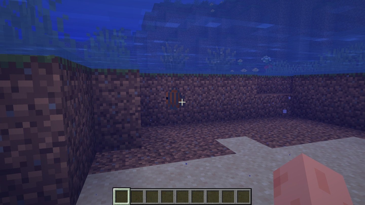 Источник: CQ.ru / Anemone