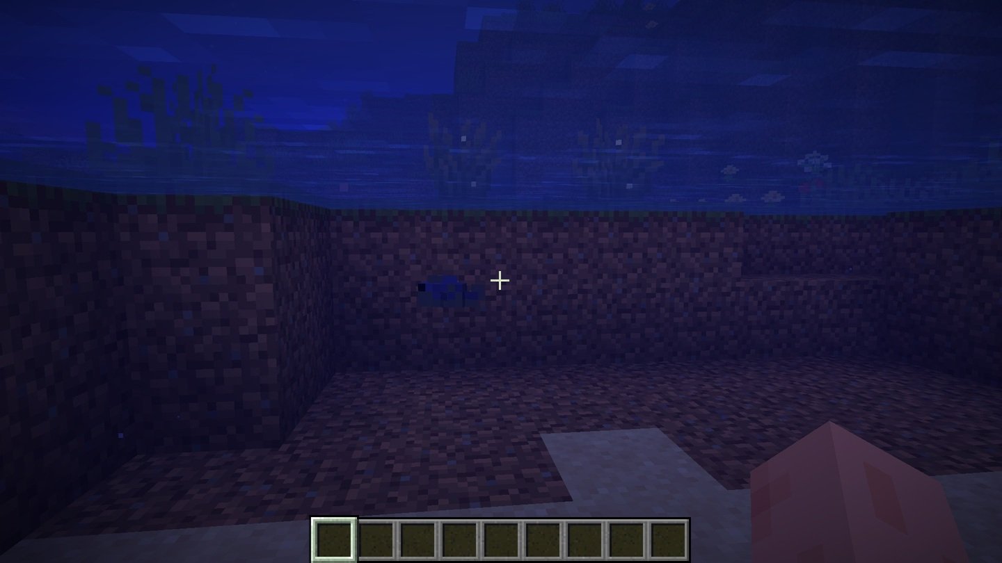 Источник: CQ.ru / Cichlid