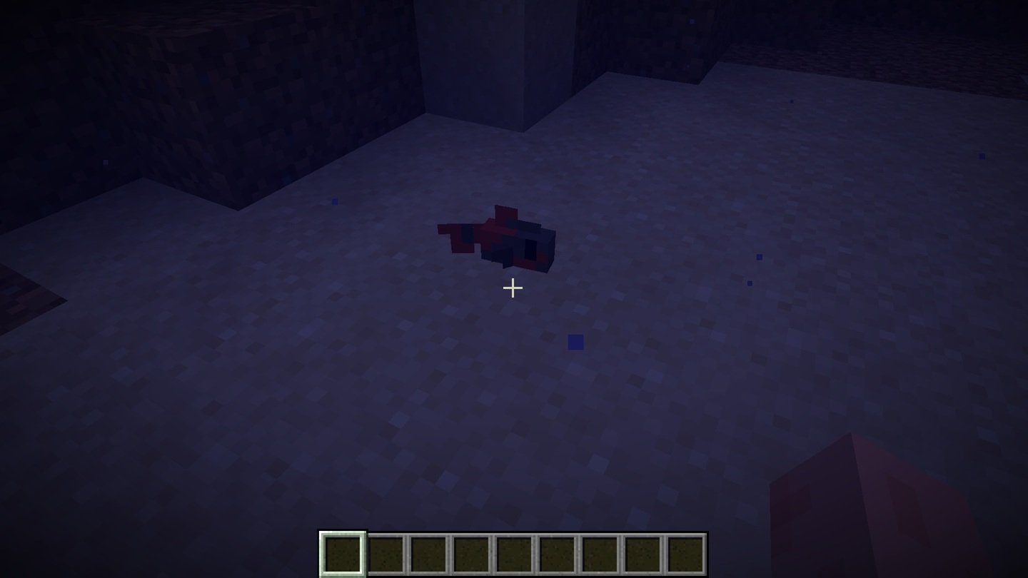 Источник: CQ.ru / Red Lipped Blenny