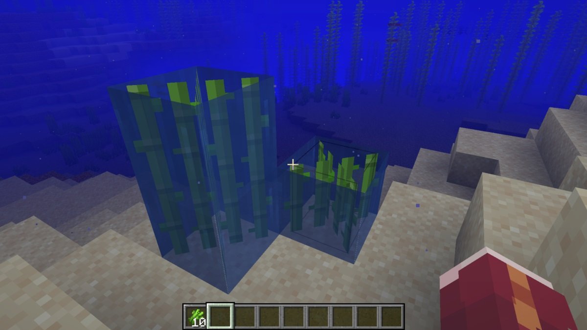 Источник: CQ.ru / Тростник под водой