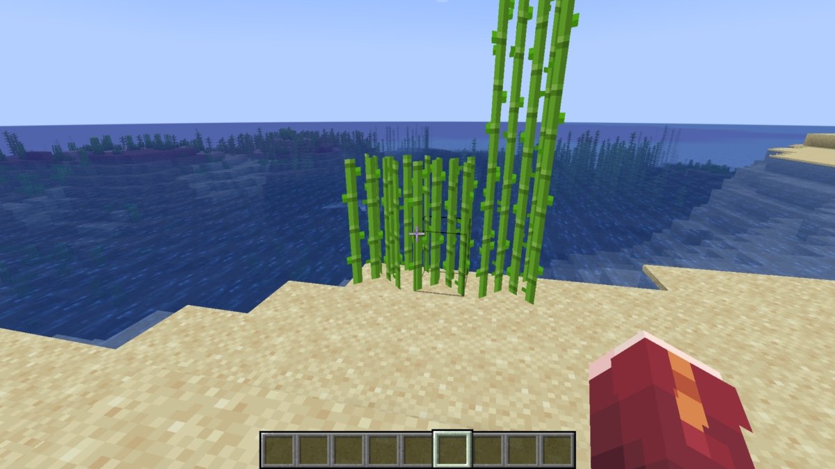 Источник: CQ.ru / Тростник рядом с водой