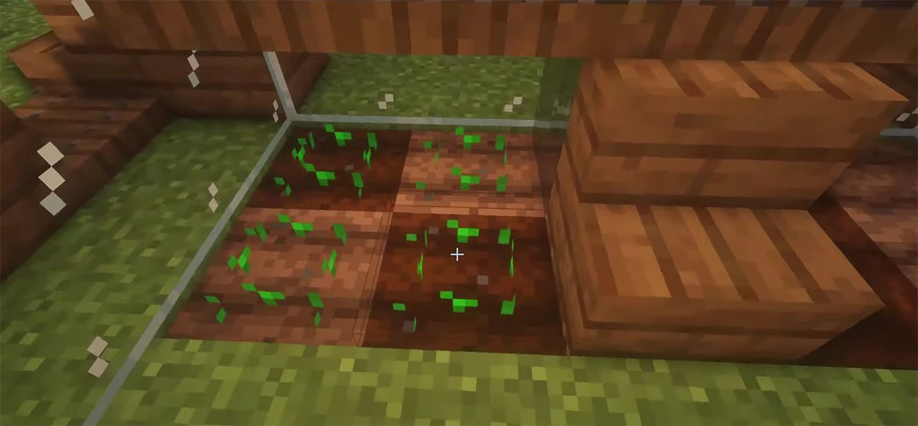 Источник CQ.ru / Грядки в теплице