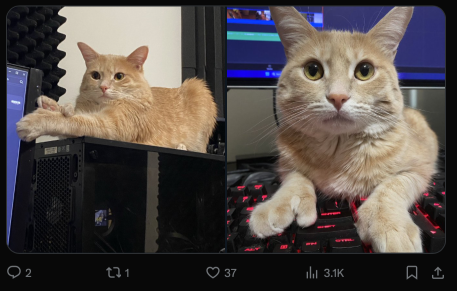 Источник: скриншот CQ.ru