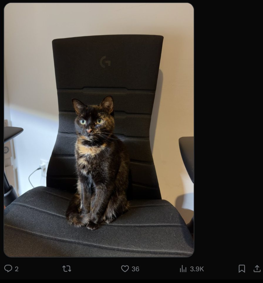 Источник: скриншот CQ.ru