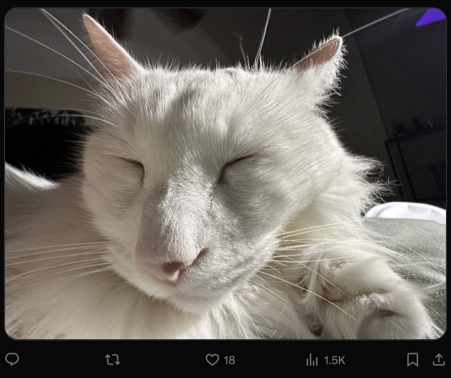 Источник: скриншот CQ.ru