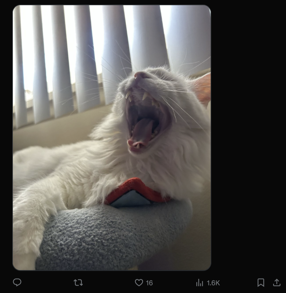 Источник: скриншот CQ.ru