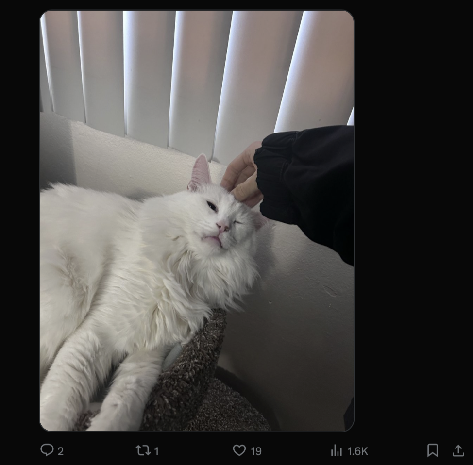 Источник: скриншот CQ.ru