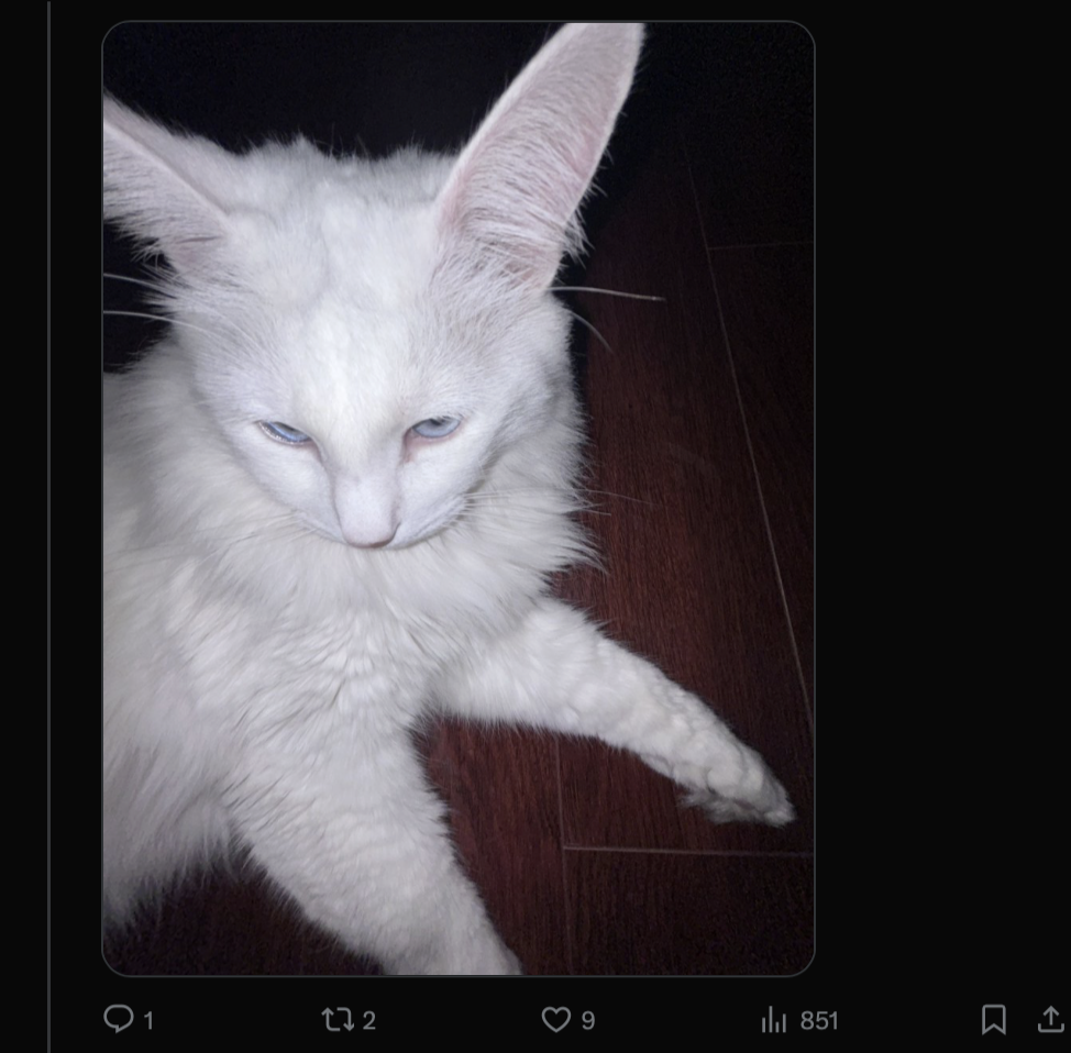 Источник: скриншот CQ.ru