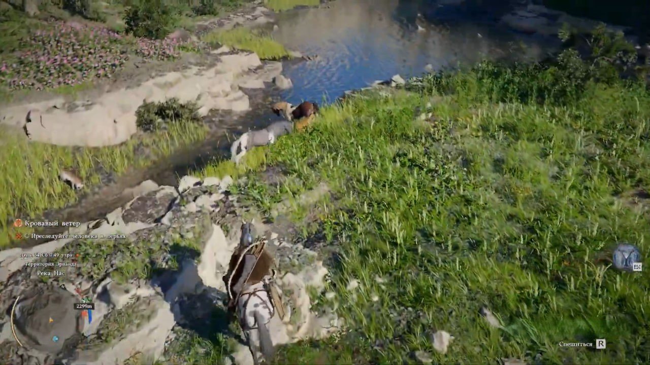 Источник: CQ.ru / Дикие лошади в Crimson Desert