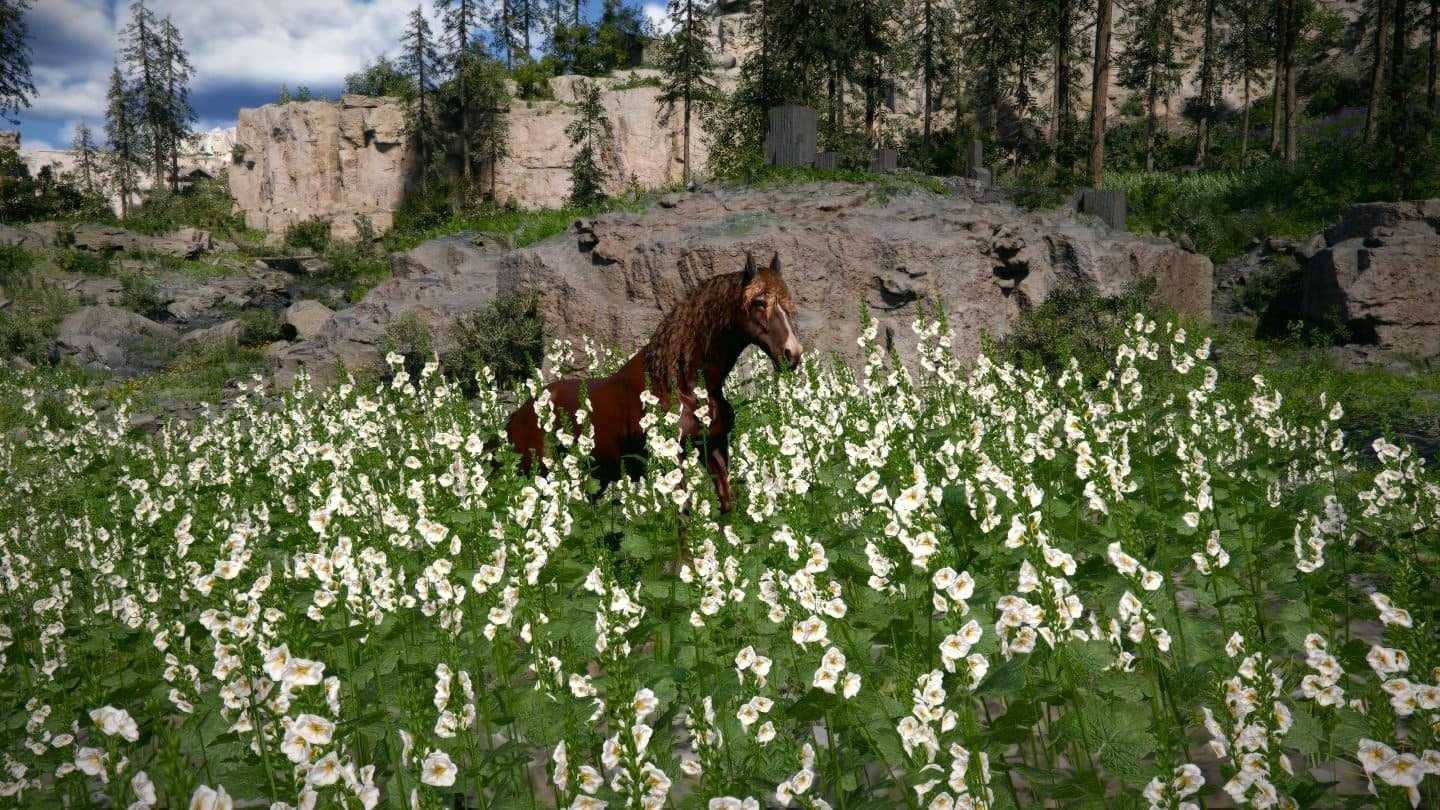 Как приручить лошадь в Crimson Desert