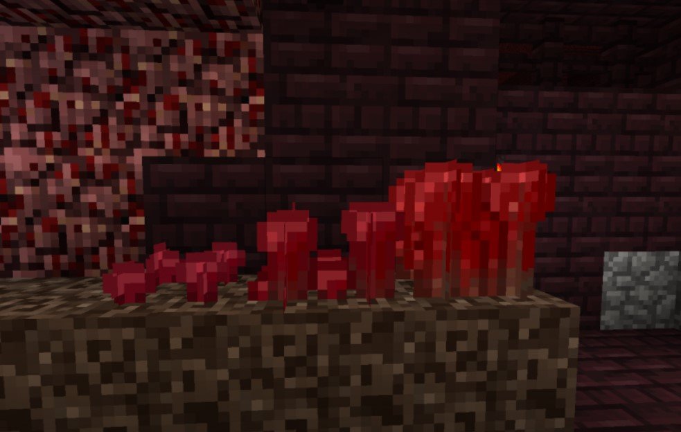 Источник: скриншот CQ.ru / Майнкрафт адский нарост