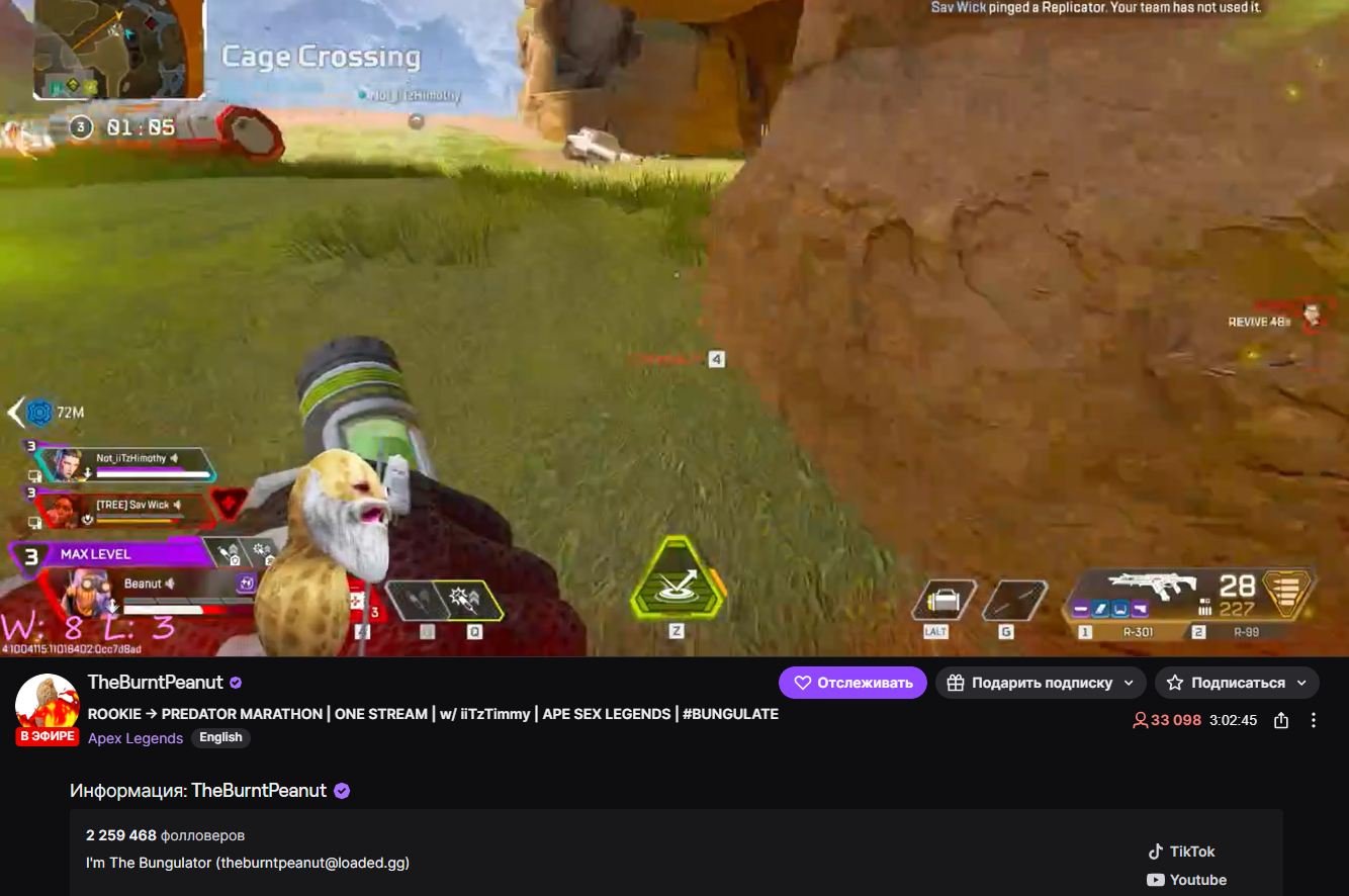 Источник: скриншот CQ.ru /  Twitch-канал TheBurntPeanut