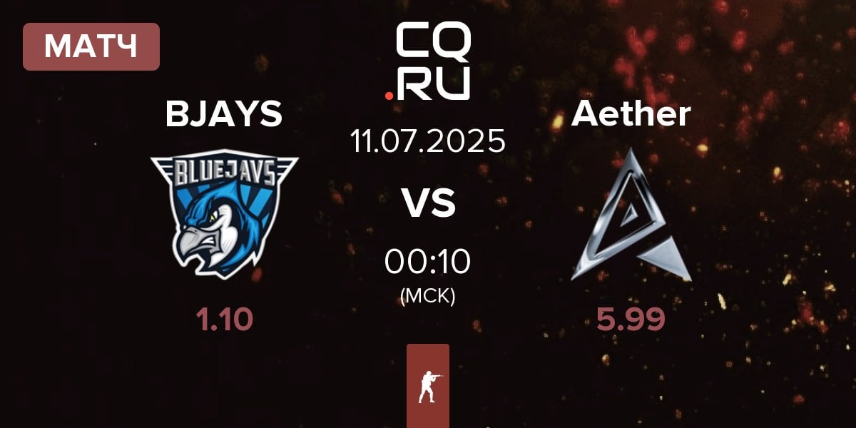 Матч BLUEJAYS BJAYS vs Team Aether Aether | 11.07