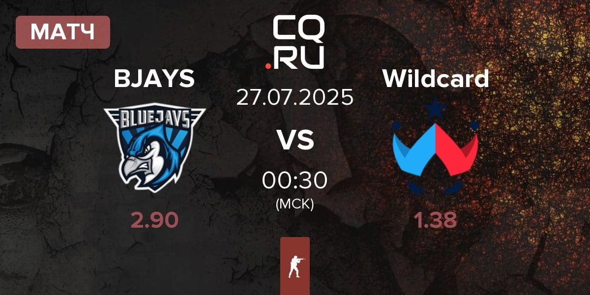 Матч BLUEJAYS BJAYS vs Wildcard Gaming Wildcard | 27.07