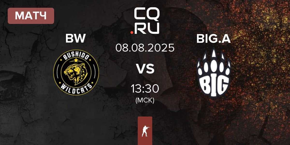 Матч Bushido Wildcats BW vs BIG Academy BIG.A | 08.08