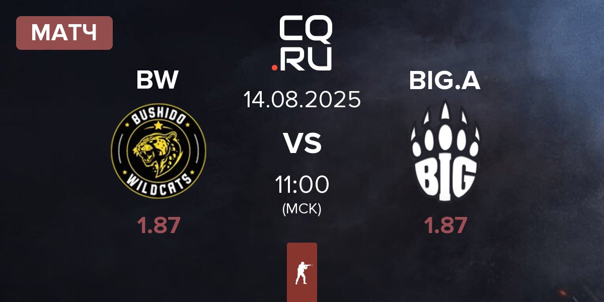 Матч Bushido Wildcats BW vs BIG Academy BIG.A | 14.08