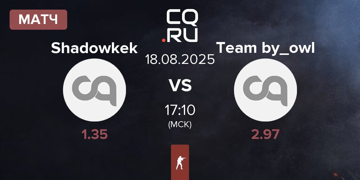 Матч Team Shadowkek Shadowkek vs Team by_owl | 18.08