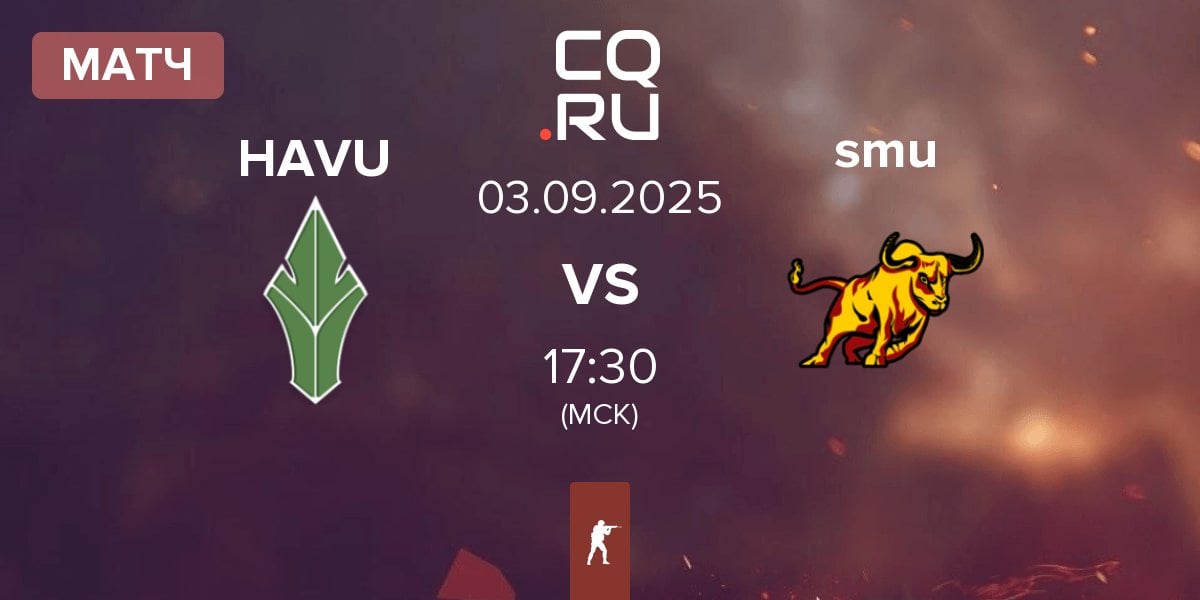 Матч HAVU Gaming HAVU vs smuuttikusilkki smu | 03.09