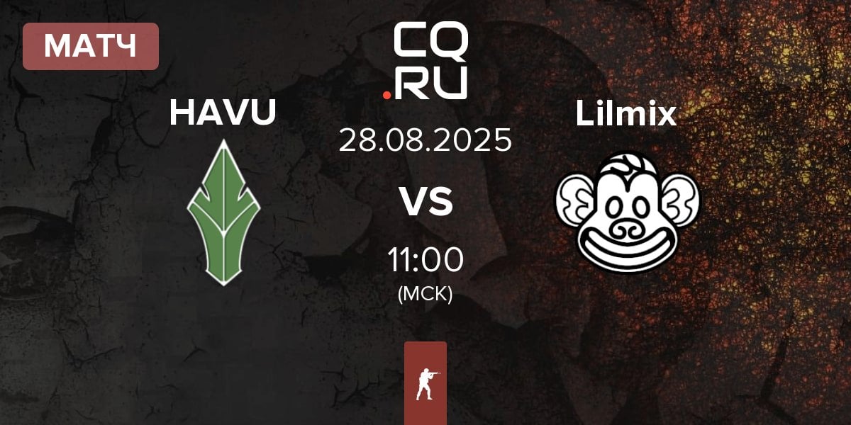 Матч HAVU Gaming HAVU vs Lilmix | 28.08