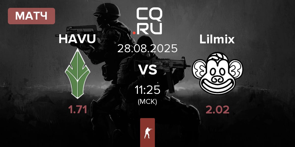 Матч HAVU Gaming HAVU vs Lilmix | 28.08