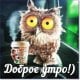Настенок
