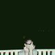 Darya «chameleon_93» Medvedeva