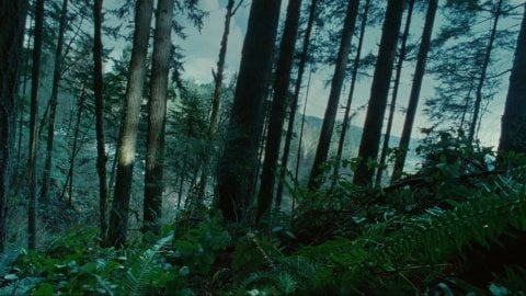 Сумерки в Minecraft житель исполнил кавер на саундтрек фильма