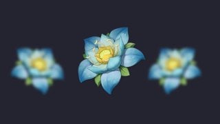 Лотос Кальпалата  полный гайд