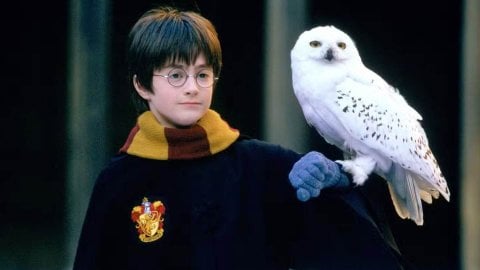 Фанаты Гарри Поттера могут не переживать за сериал HBO развеяла новый слух