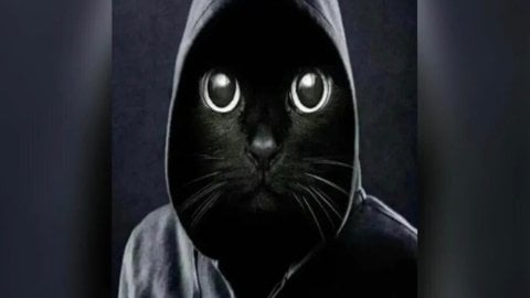 Brand Analytics назвал 25 мемов этого года