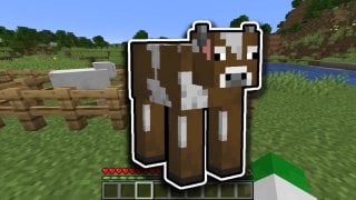 Ферма коров в Minecraft